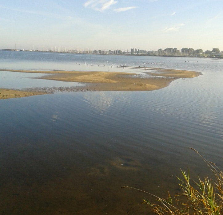 Mae Zorg Deskelzorg Andijk IJselmeer